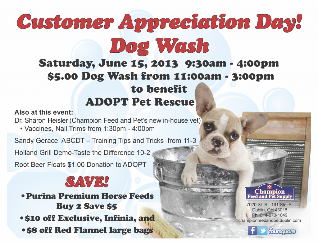 dog wash flier